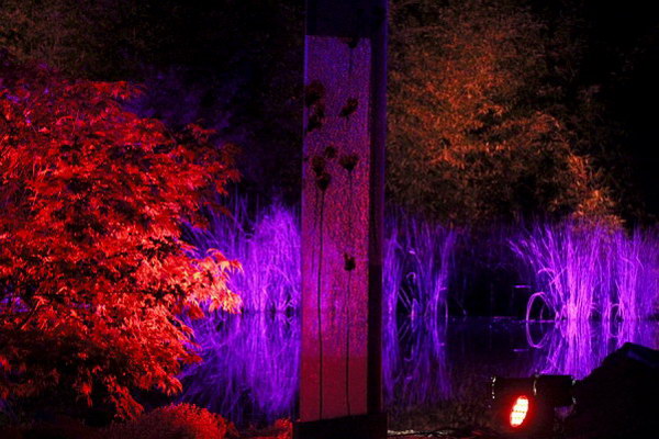 Ilumina_2014   059.jpg